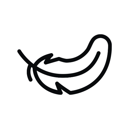 Alt Image